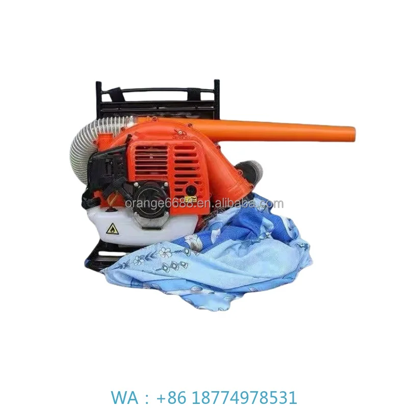 prod_6a9e2316167a94.72815366.webp