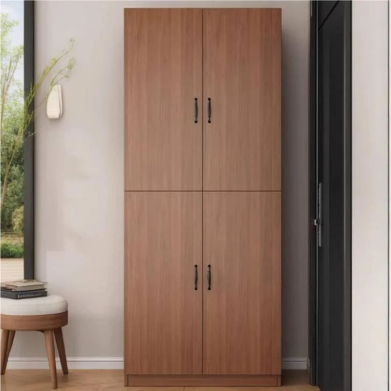 Holder Hardware Shoe Cabinet Adjustable Design Entrance Corner Shoe Shelf Apartments Luxury Schoenen Opbergsysteem Furnitures