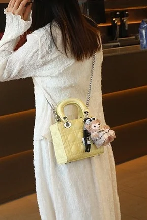 CLAREGQI Women Acrylic Handle Mini Handbag Metal Chain Crossbody Bag Fashion Daily Small Shoulder Purse