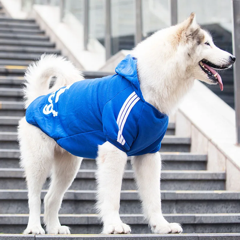 prod_6a9e41c3799d06.13812790.webp
