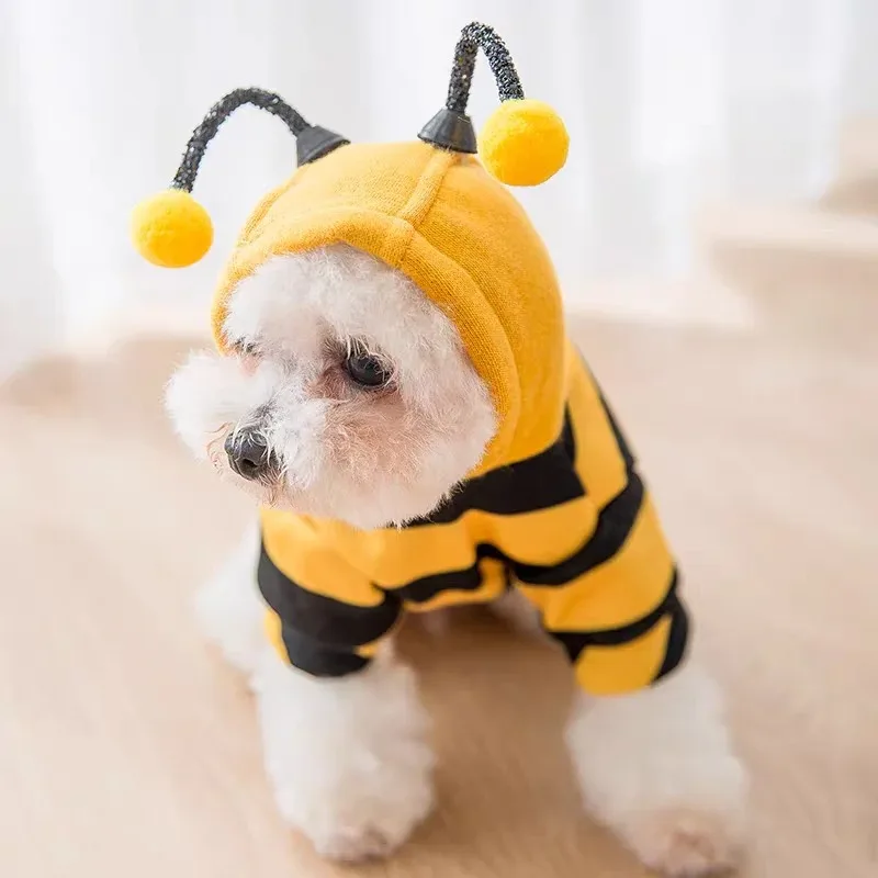 prod_6a9e41fc03cf10.57631908.webp