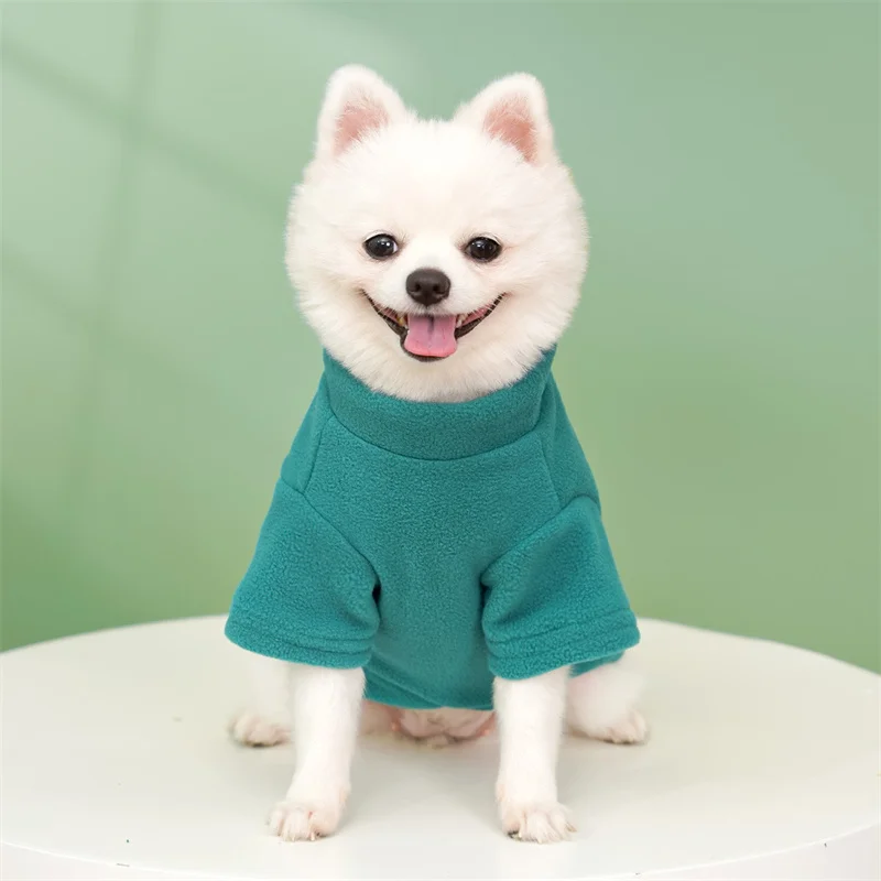 prod_6a9e4207cc2bc6.25378098.webp