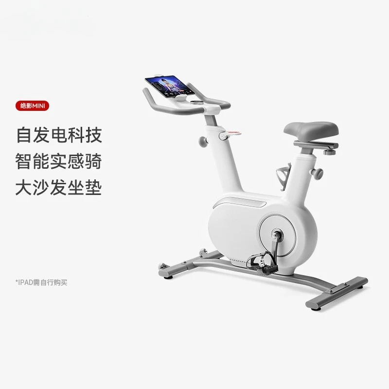 Dynamic Bike Self Powered Home Sports Bike Indoor Fitness Equipment Silent Shadow Mini