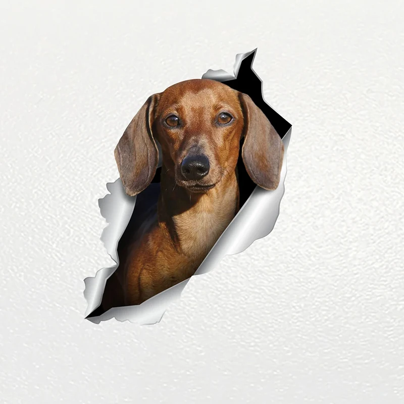 V1042# Car Sticker Chocolate Mini Dachshund Dog Pet Animal Waterproof Vinyl Decal Car Accessories Decor Pegatinas Para Coche