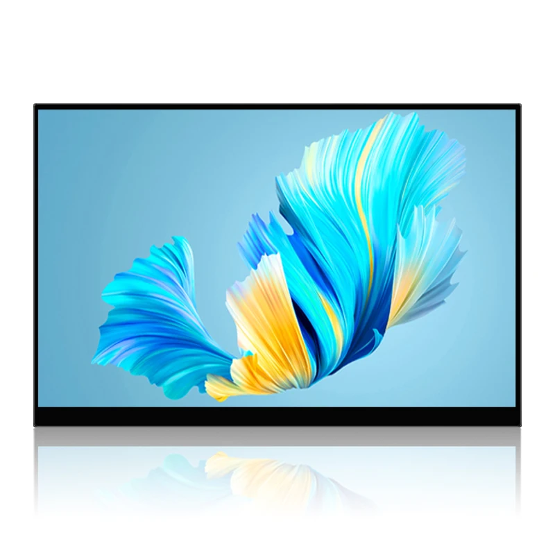 13.3 14 15.6 Inch 1080p FHD IPS 60hz Touch Screen Anti-blue Light PC Office Gaming Extended Display Portable Monitor