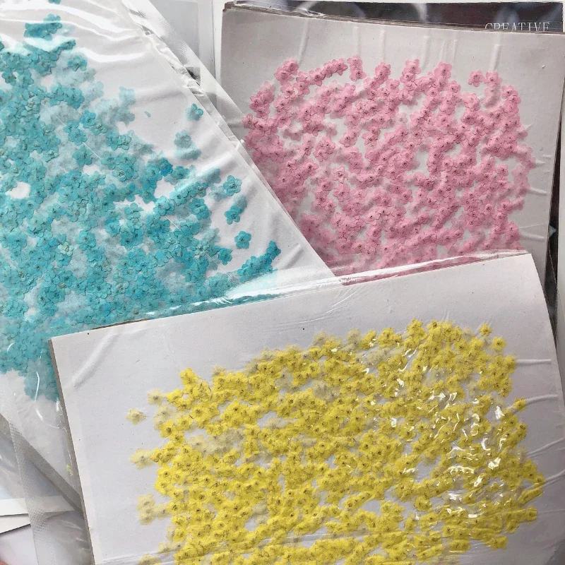 80pcs/0.5-1.5cm,Pressed Mini Forget-Me-Not Flowers Petals,Dyed Color Real Mini Floral DIY Nail Enhancement Craft Photo Gift Card