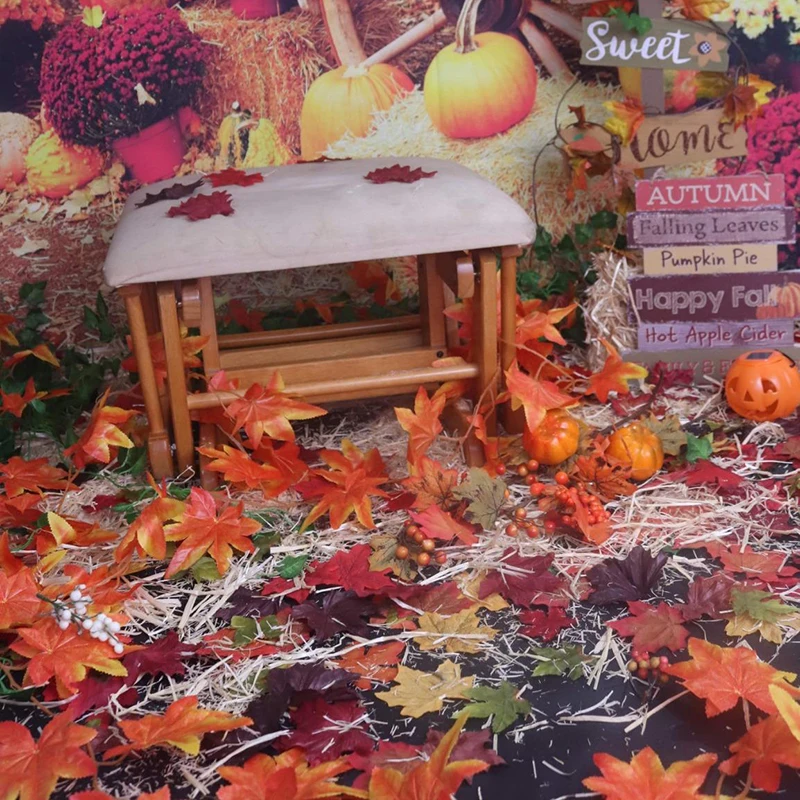 prod_6a9e692b3eb6e5.38540351.webp