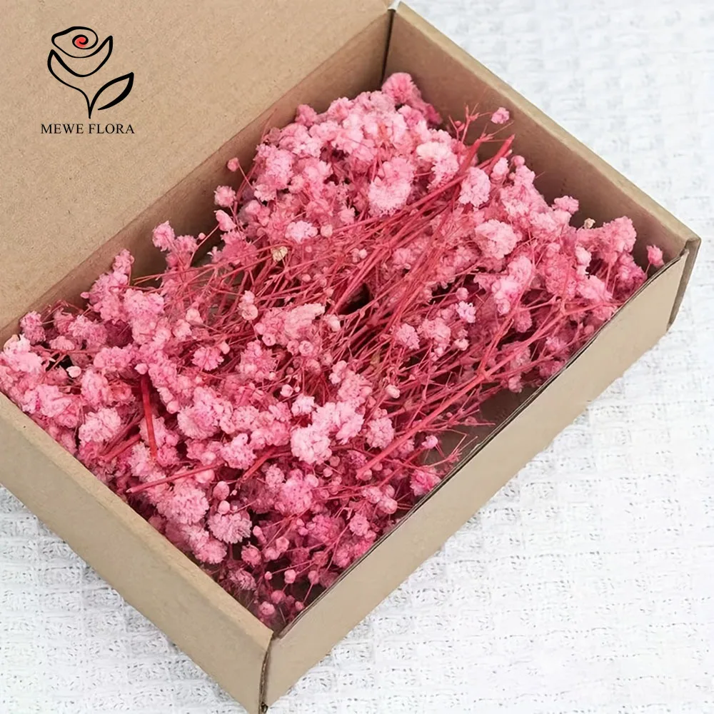 100 Small Branch Dried Baby's Breath Flowers for Card Making DIY Crafts Mini Gypsophila Bouquet Home Wedding Table Vases Decor