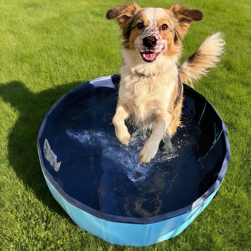 Foldable Portable Pet Swimming Pool Bathtub Indoor Outdoor Cold Water Bath Cleaning Bathtub Pet Accessories