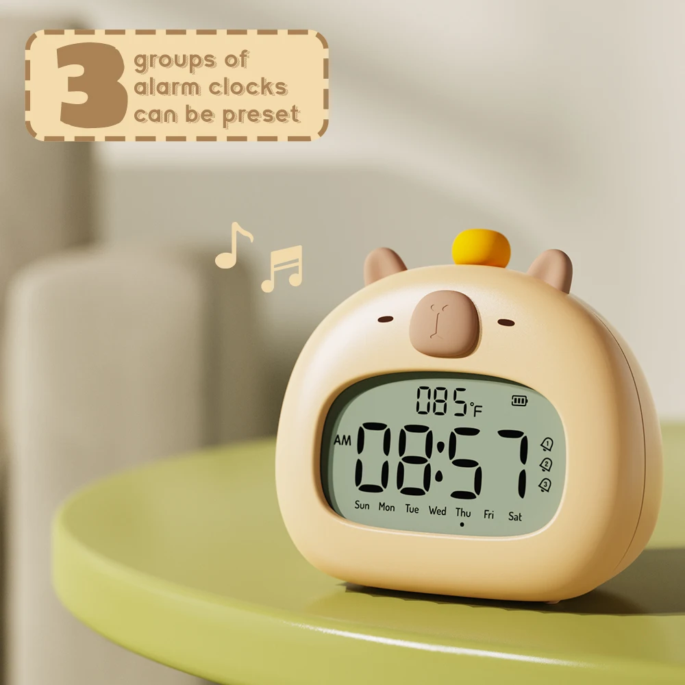 prod_6a9e772686ab42.46834227.webp