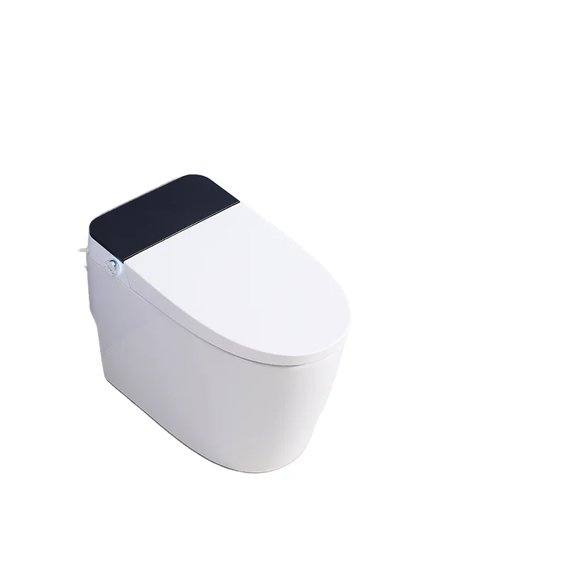 Smart Ceramic Toilet Remote Accessory Ultimate Strong Absorption Machine Universal Auto Blower Vacuum Suction Scoop for Pet Dry