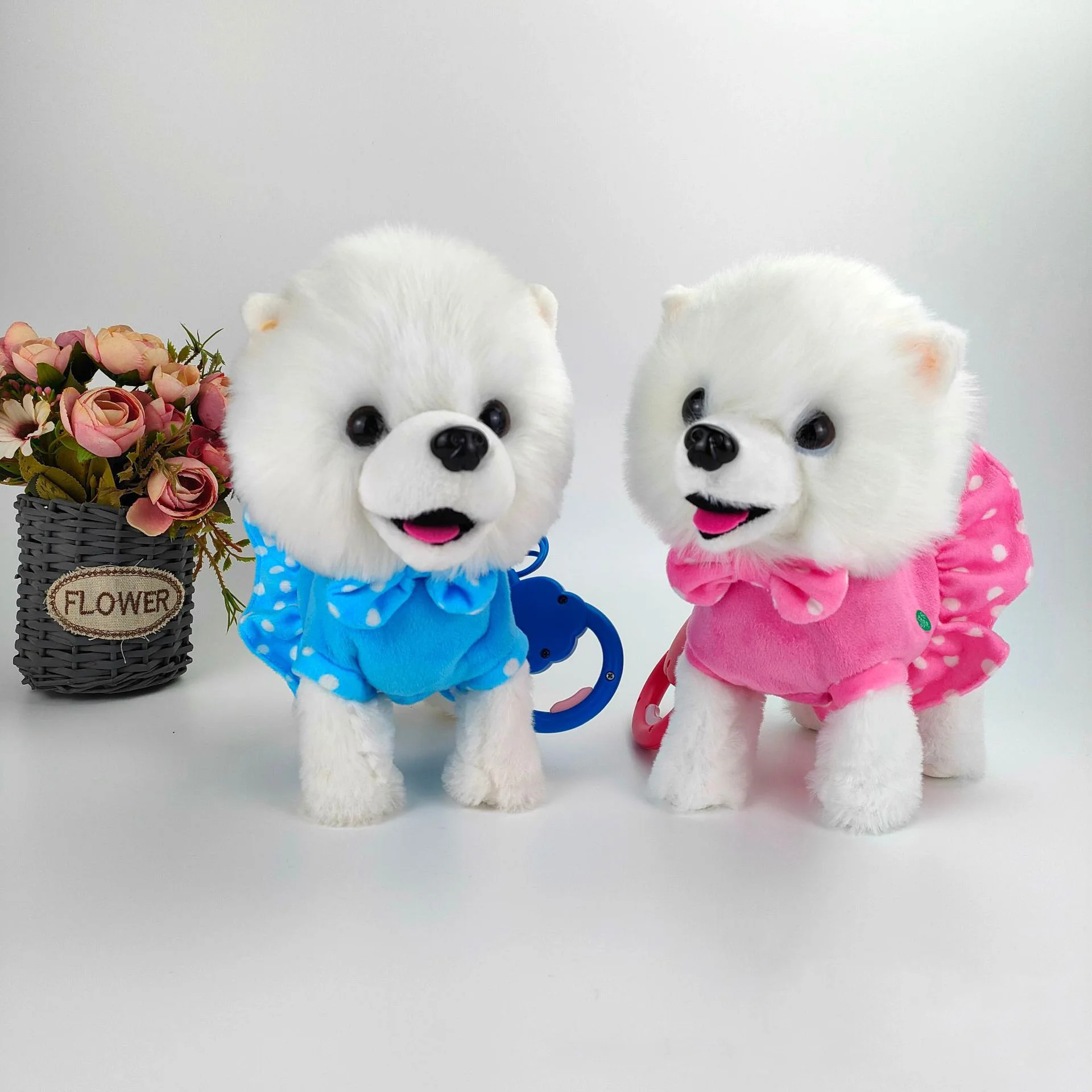 prod_6a9e79f16bdf35.43081999.webp
