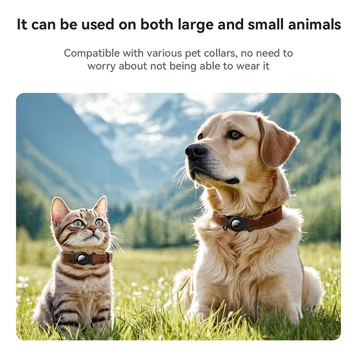 prod_6a9e79f45c5ec4.23137663.webp