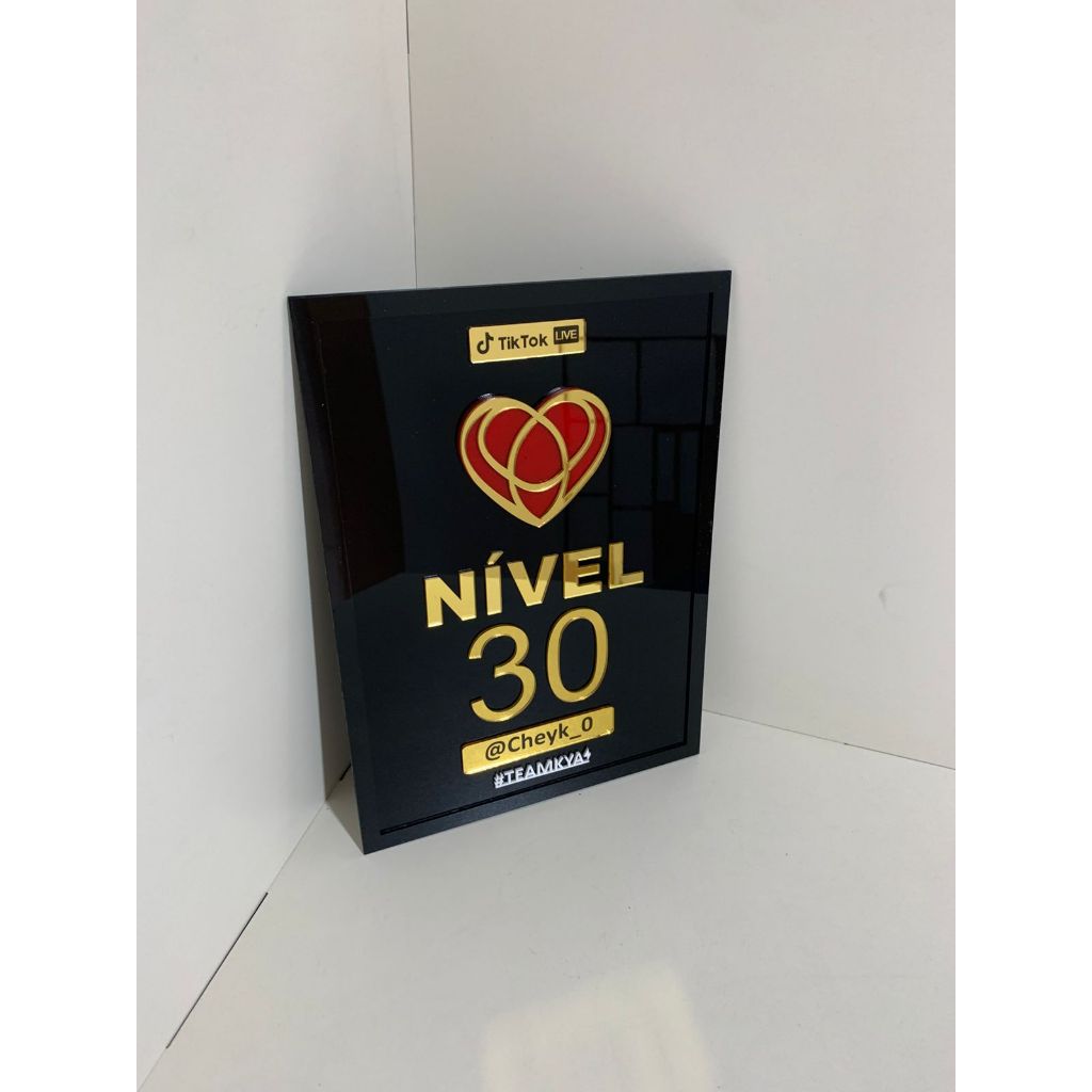 Placa Personalizada | Acrílico | Presente para Criadores | Decoração para Estúdio