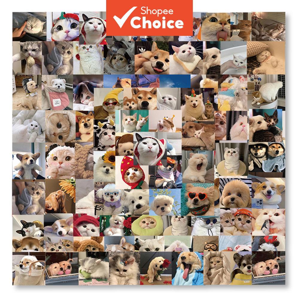 Kitty Puppy Meme Retro Estético Dos Desenhos Animados Adesivos 500 Pcs Adesivo À Prova D'água Vinil DIY Decoração Para P