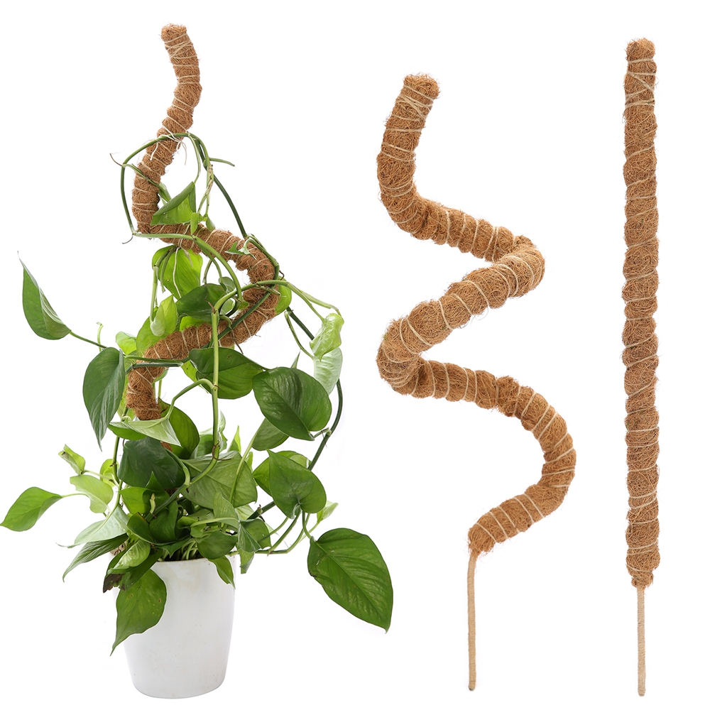 1PC Vara De Coco Dobrável De Fibra Modelagem De Palma Pode Ser Formada Musgo Pilar De Jardinagem Ferramenta De Suporte De Planta De Jardim De Bricolagem