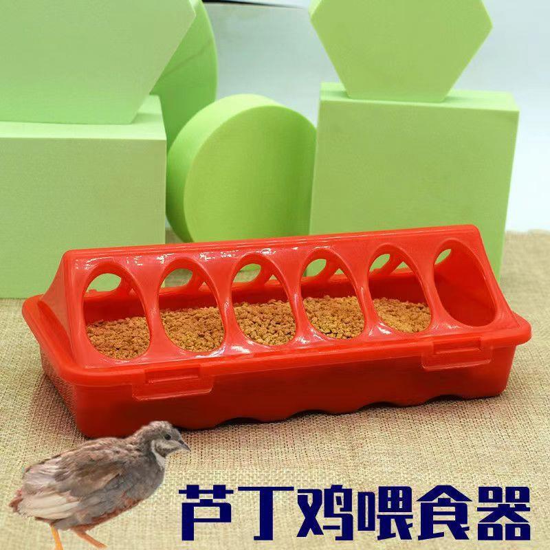 Fonte potável de água potável para pintinhos, tanque de comida de frango, alimentador automático, tanque de pintinhos, p