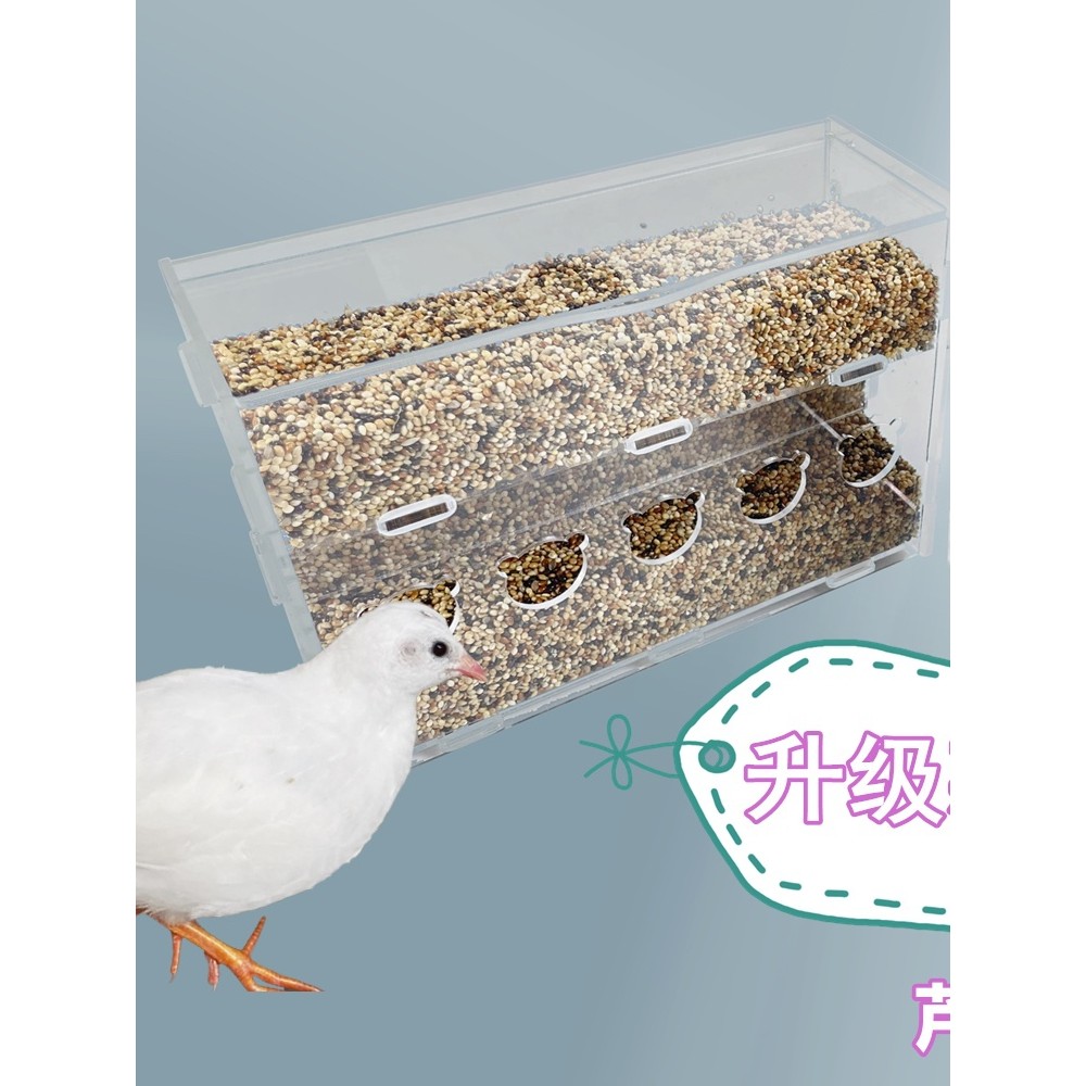 prod_6a9f2ec4db8b10.62770661.jpg