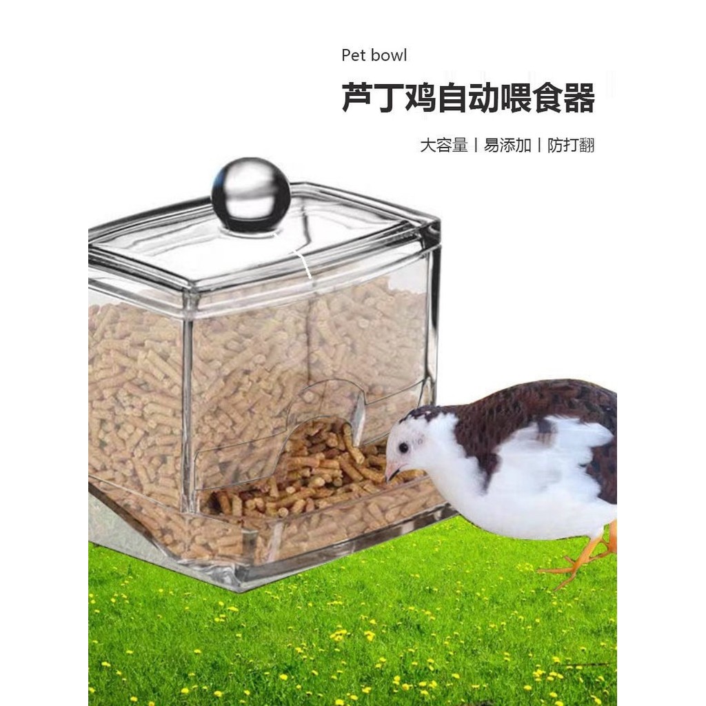 Luding frango alimentador automático codorna frango caixa de comida tigela de alimentos tanque de alimentos água potável