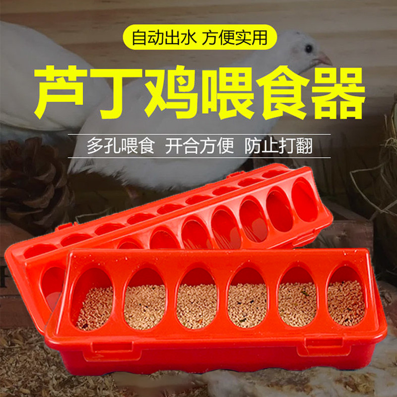 prod_6a9f2ecde62e19.53852202.jpg
