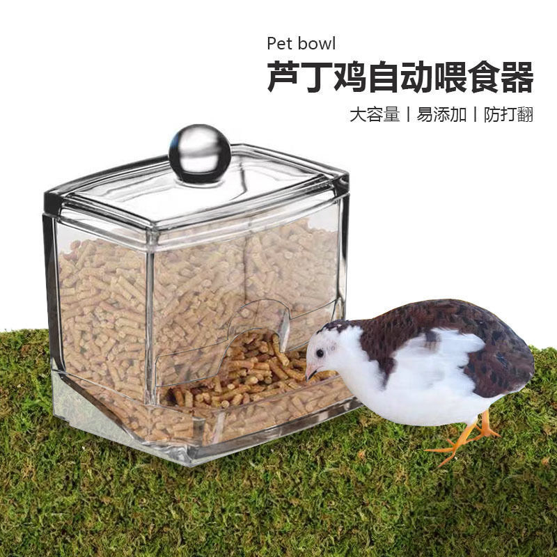 Luding alimentador de frango bebedor bebedor frango acrílico caixa de comida luding frango tanque de comida caixa de ali