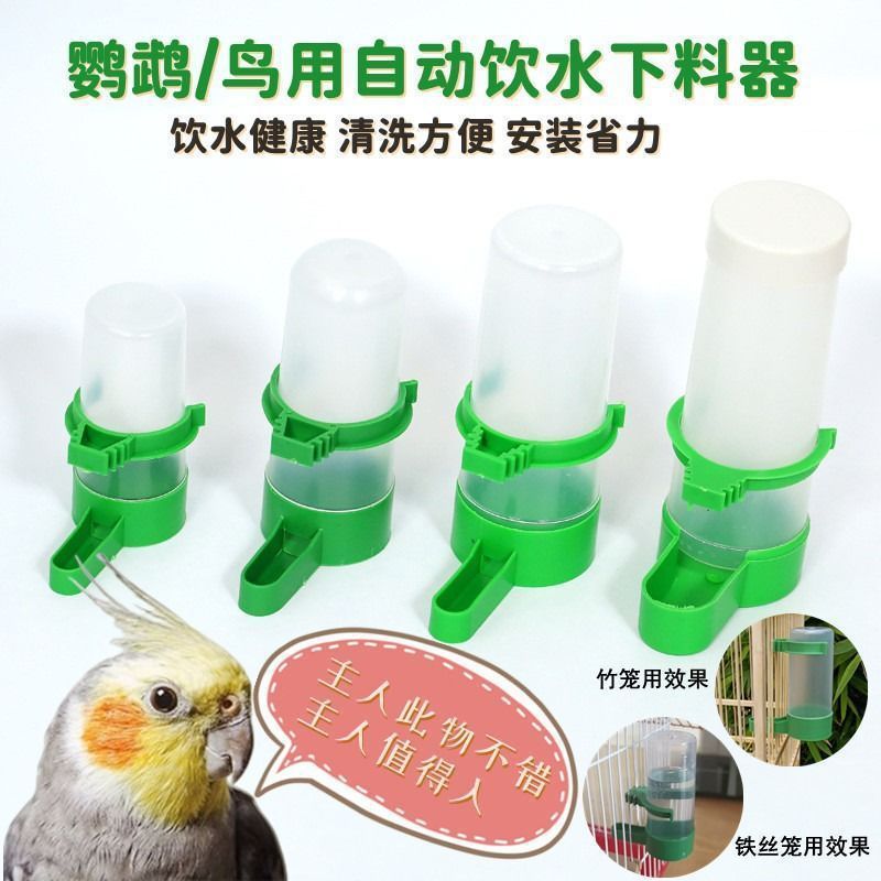 Alimentador automático dedicado pássaro ludicado frango papagaio alimentação bebedor água potável pombo tanque de comida