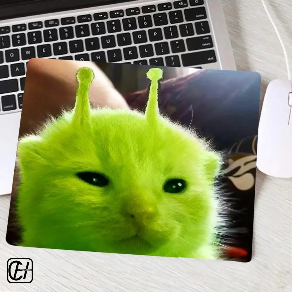 prod_6a9f55f2917183.08696263.webp
