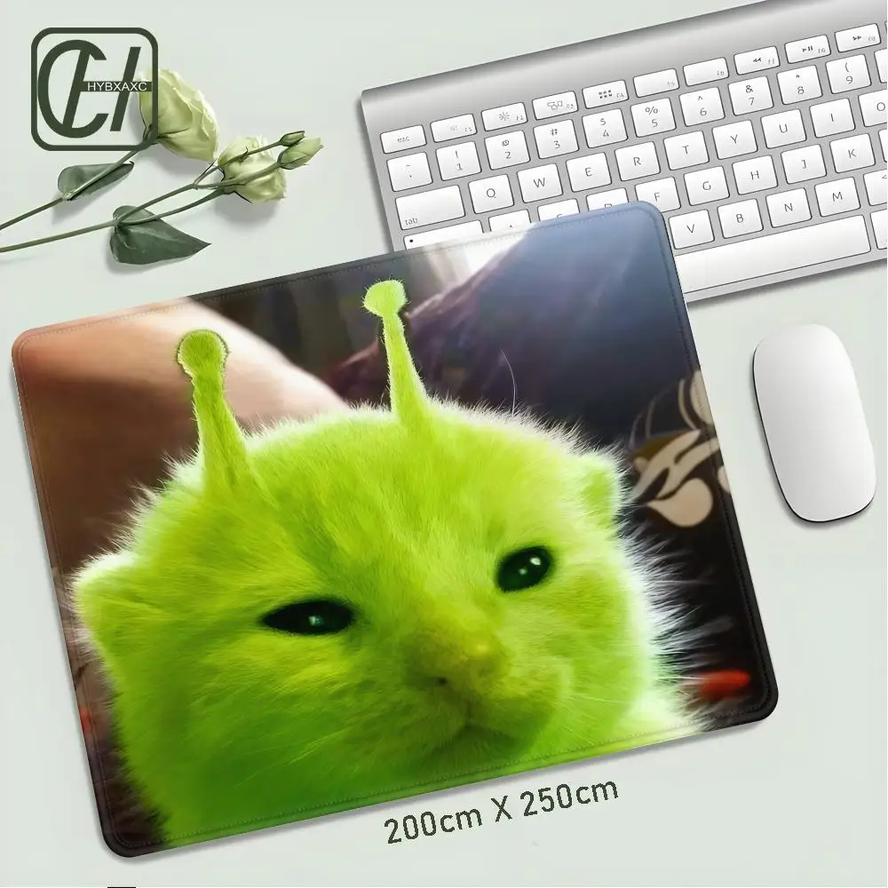 prod_6a9f55f38218f6.76579236.webp