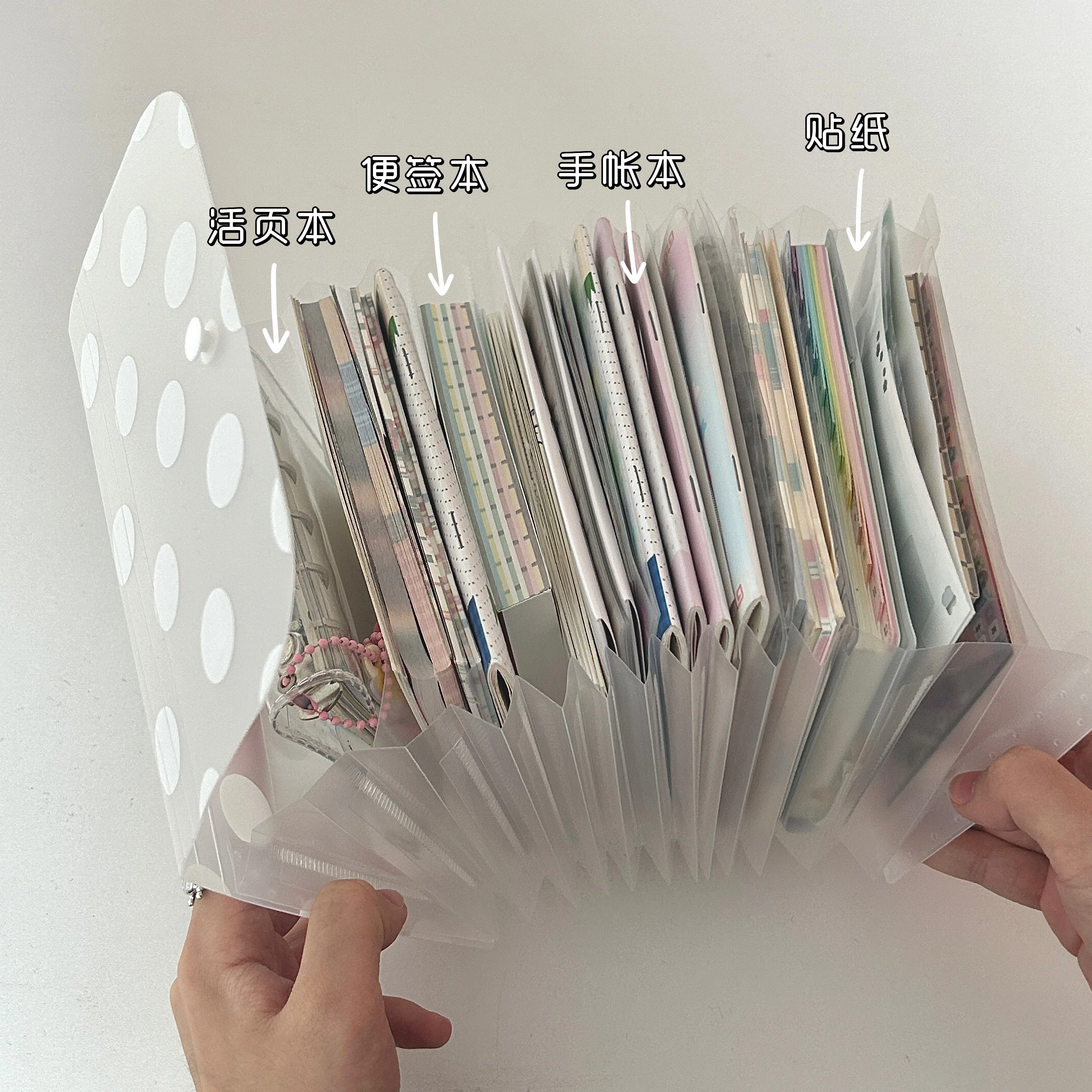 prod_6a9f5c7299a1e7.95668992.webp