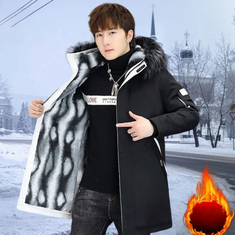 prod_6a9f7273358c45.99370054.webp