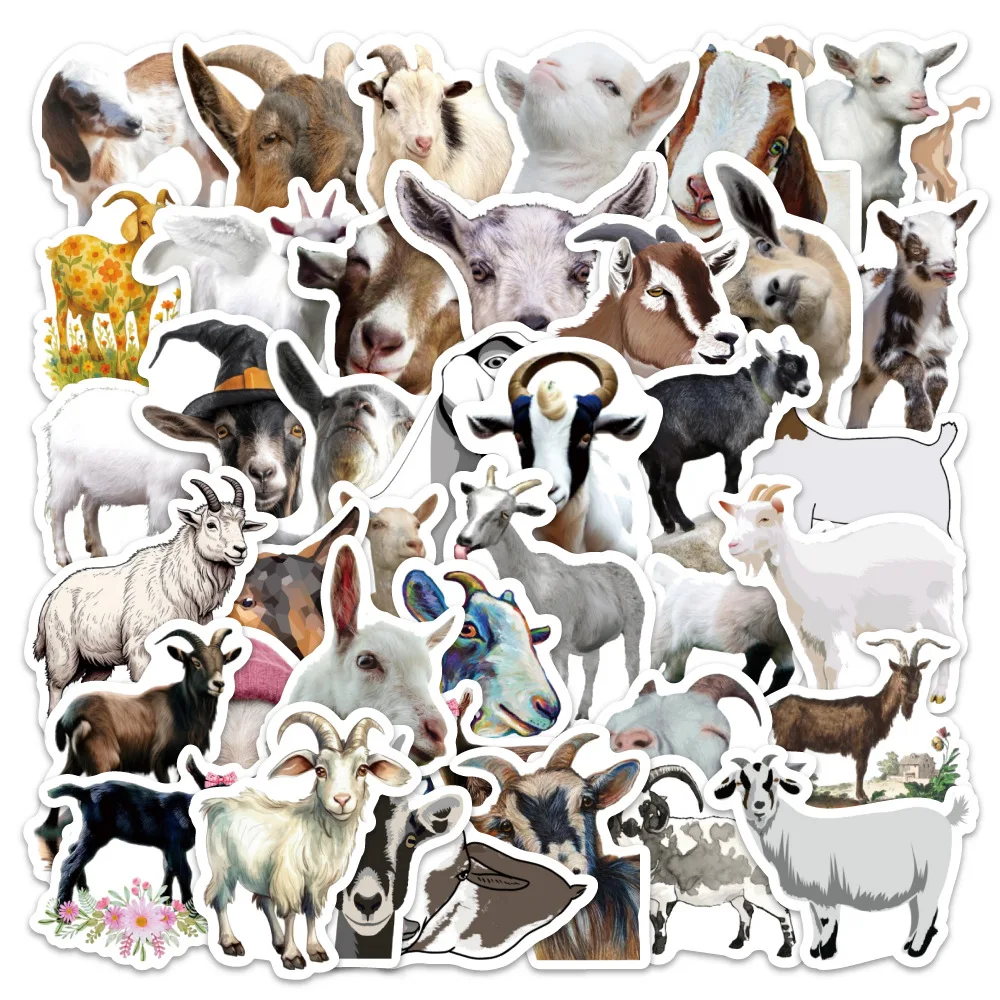 prod_6a9f75b94fbac2.22454640.webp