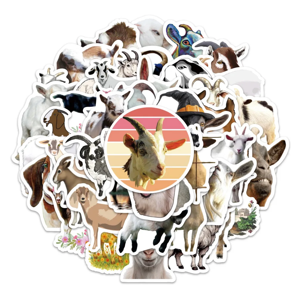 prod_6a9f75b9830650.94527404.webp