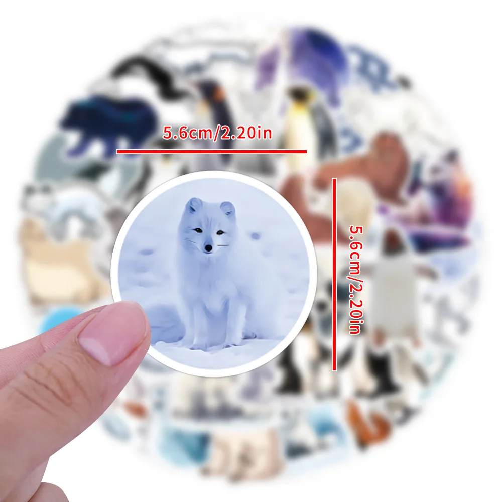 prod_6a9f75be9028a7.66207085.webp