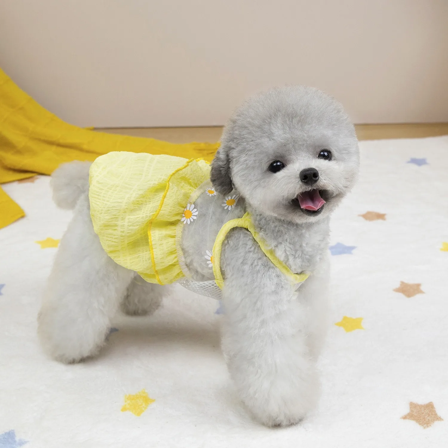prod_6a9f7f1580a387.84145629.webp