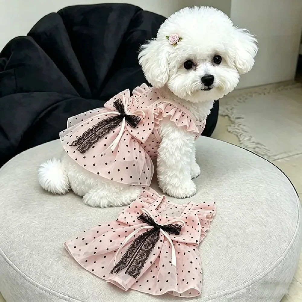 prod_6a9f7f201a6eb3.23445561.webp
