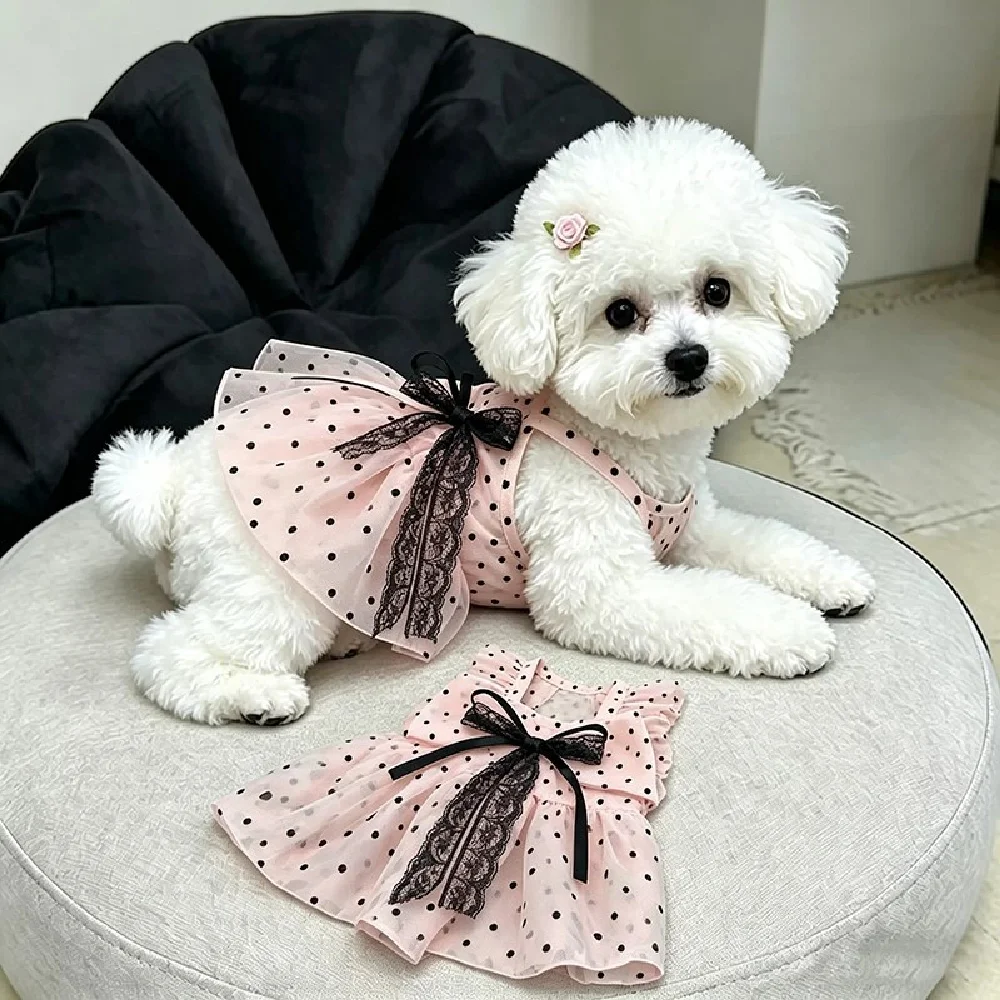 prod_6a9f7f20b03bc1.30809985.webp