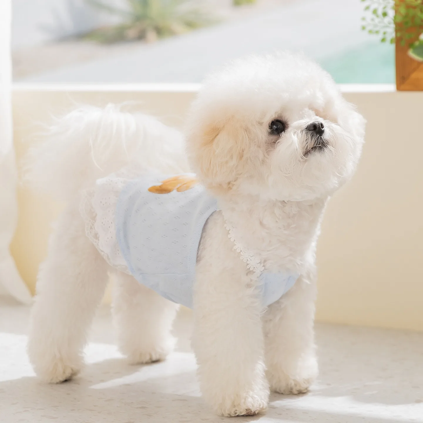 prod_6a9f7f30a60b69.59326345.webp