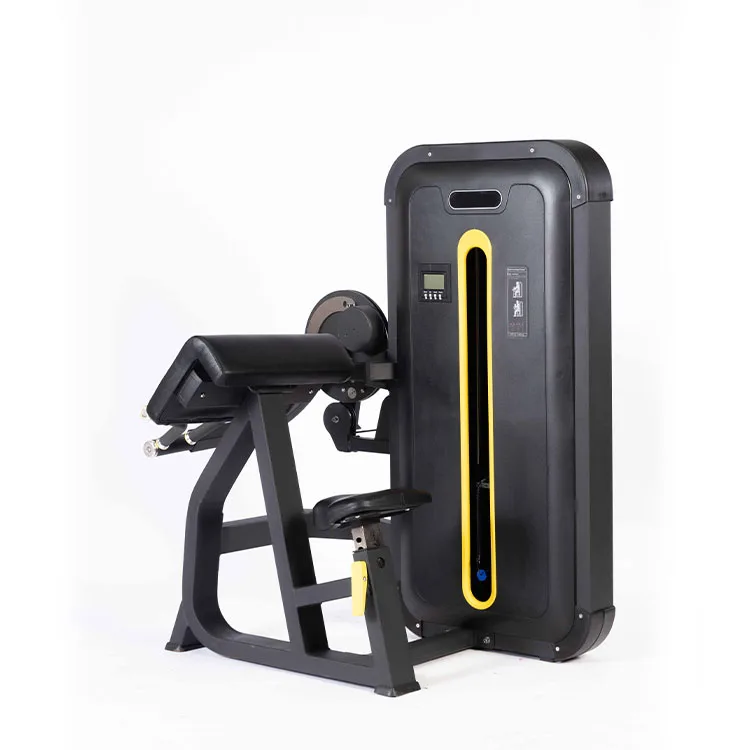 China Factory Gym Equipment ASJ-ZM030 Professional Gym Fitness Equipment Pin Loaded Strength Training Biceps/Triceps