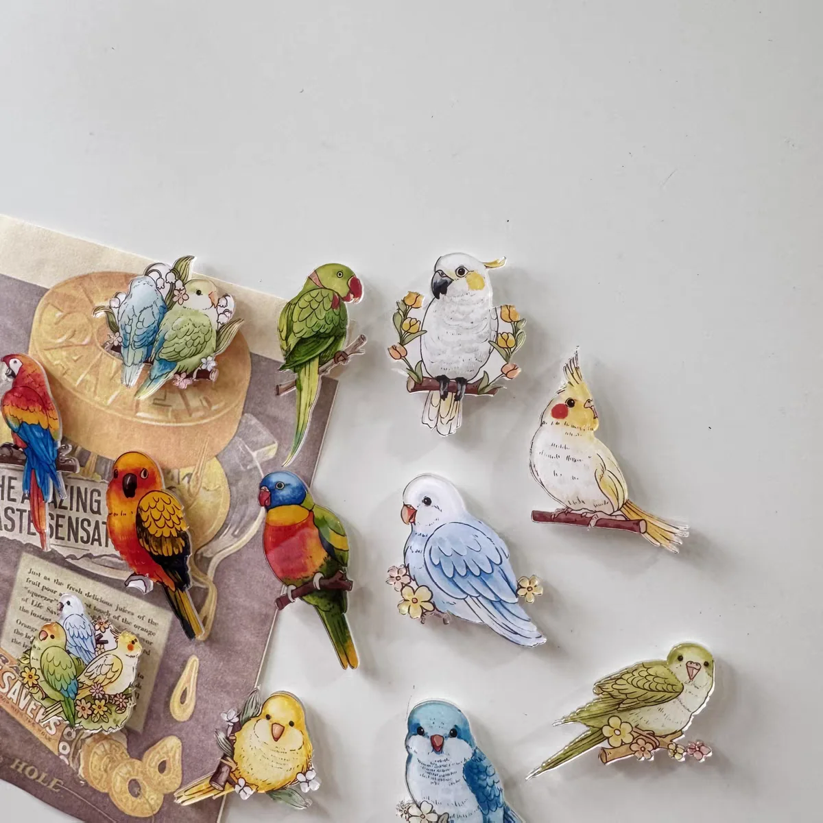 6pcs Cute Parrot Refrigerator Magnets, Kawaii Parrot Refrigerator Magnets, Whiteboard Stickers