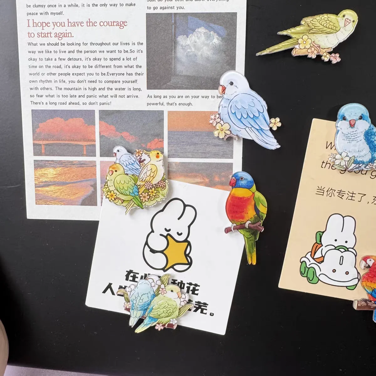 prod_6a9f973ff09227.68418596.webp