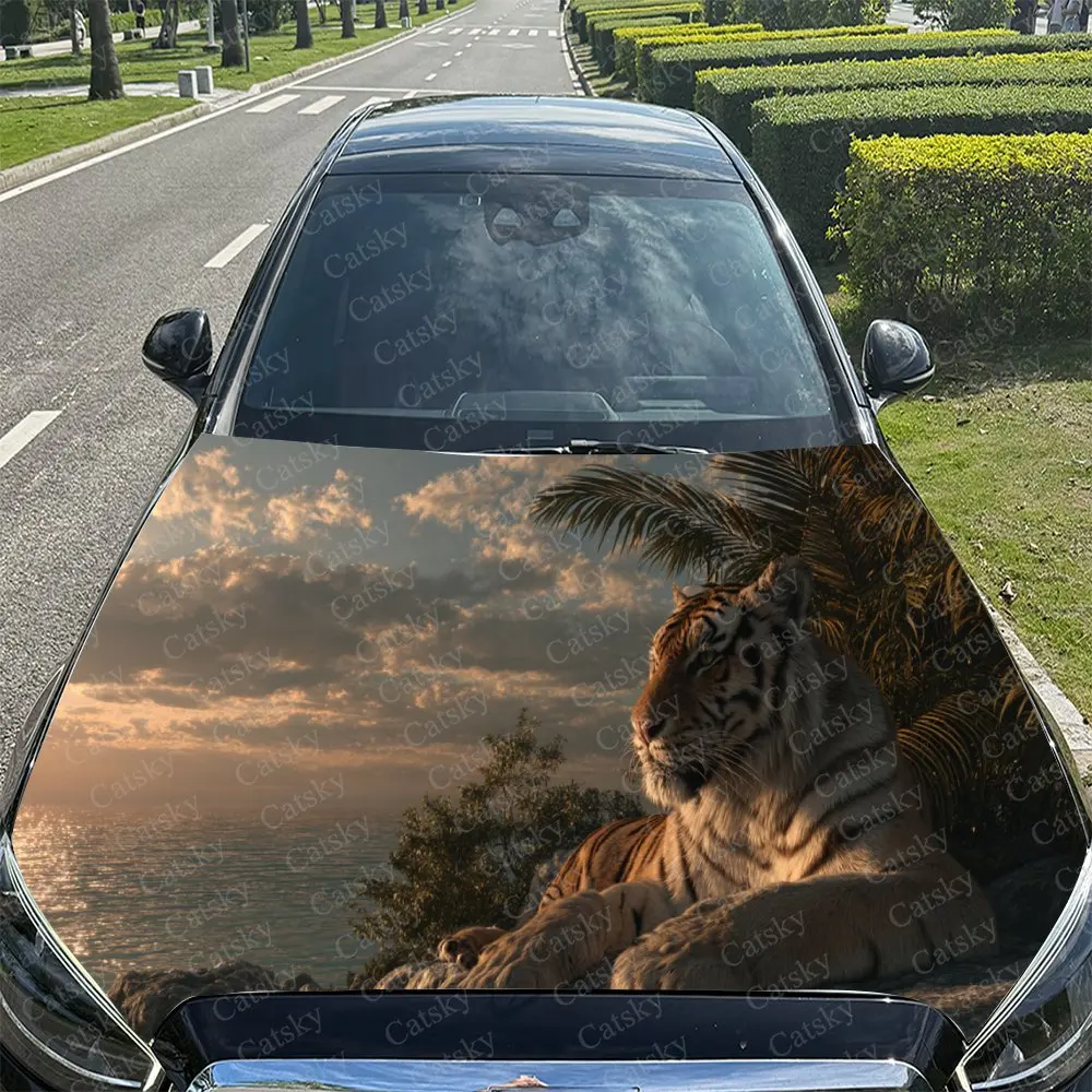 prod_6a9f97fd5414e1.17354826.webp