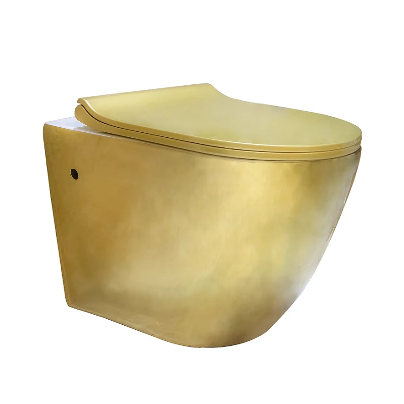 prod_6a9fa01210b474.73438476.webp