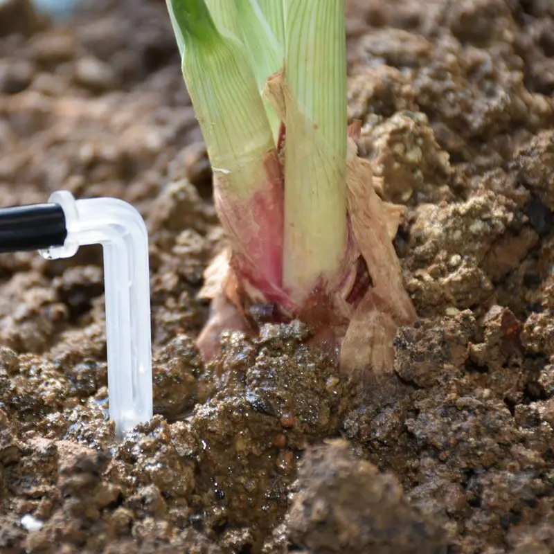 100pcS White 4/7 arrow dropper drip Arrow Emitter Curved Arrow Dripper Plants Bend Sprinklers Micro Irrigation System for 4/7m
