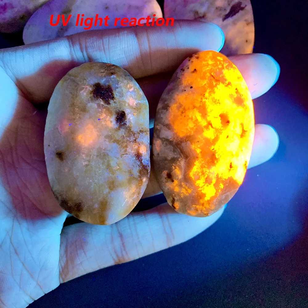 prod_6a9fa966d275c6.20426094.webp
