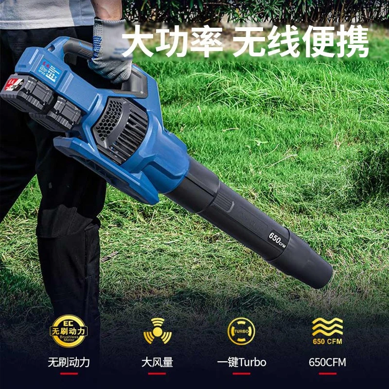 prod_6a9fb35dba9b89.00157562.webp