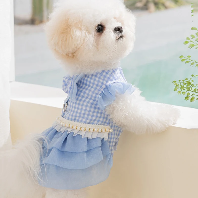 Blue Bow Teddy Dress Summer Checkered Dog Clothes Small Dog Princess Style Pullover with Traction Buckle Pet Supplies