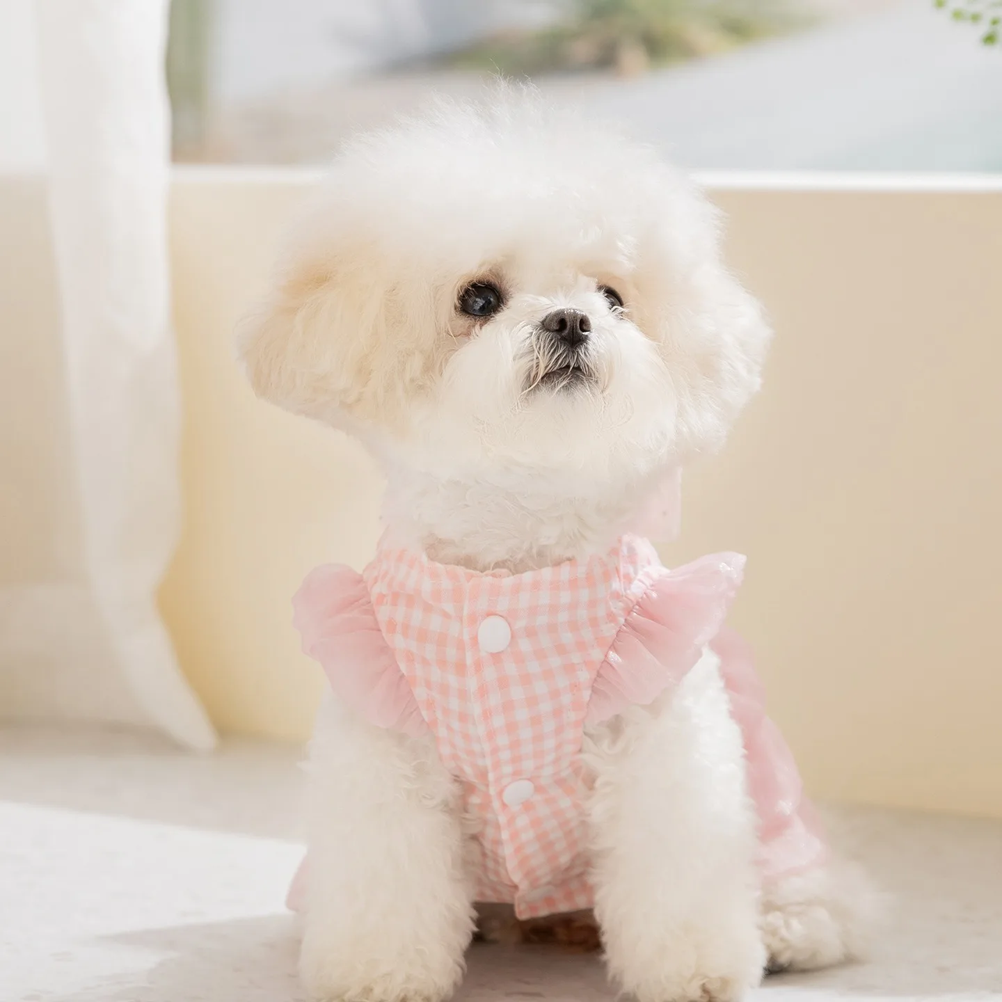 prod_6a9fbeb6a76919.33391812.webp