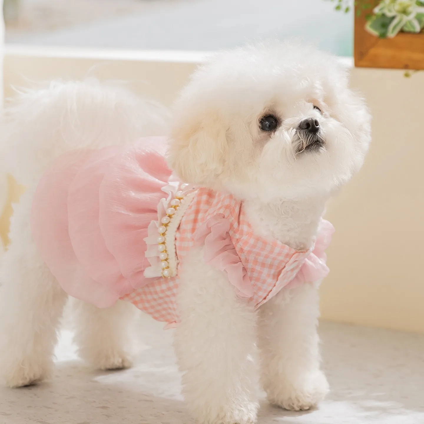 prod_6a9fbeb78329a9.58176554.webp