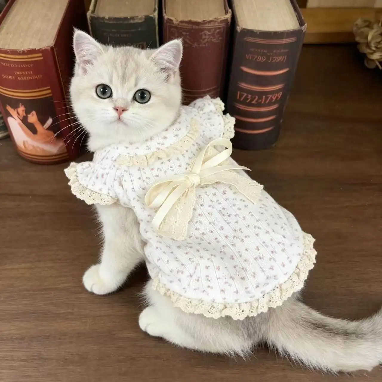 Spring and summer Breathable Dog Clothes Cute Little Fresh Teddy Dress Sweet Pet Pullover Cat Casual Skirt Dog Stuff