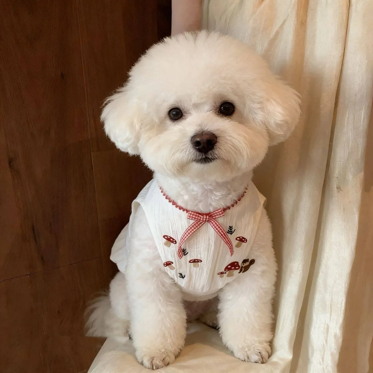 Puppy Sleeveless Skirt Pet White Mushroom Printed Clothes Fresh Pomeranian Princess Skirt Summer Teddy Beautiful Clothes